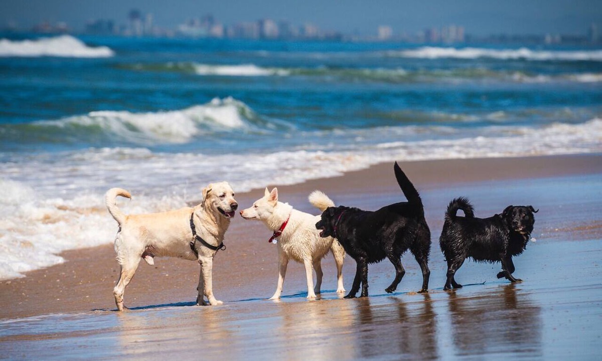Lake Como House | 0.5 mile to beach 5 Belmar Badges included. Dog Friendly. Easy parking