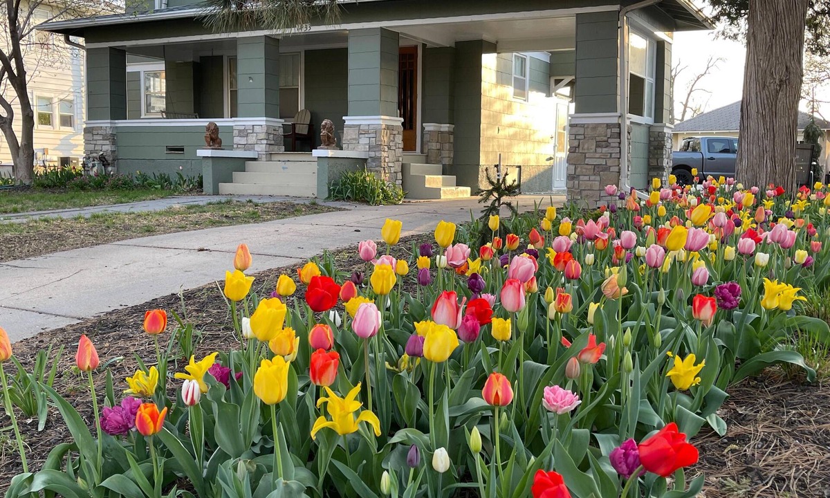 East Campus House | 4BR UNL East Campus Historic Home | Sleeps 8 | 3–4 Parking | Pergola + Porch