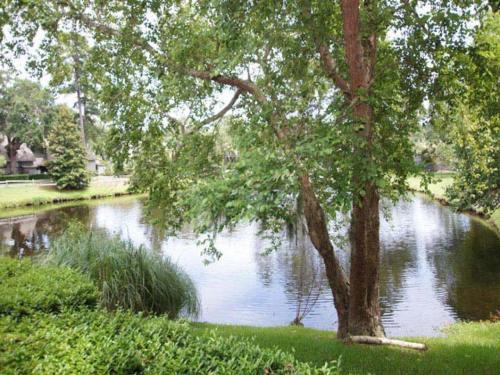 Palmetto Dunes Villa | 916 Inverness