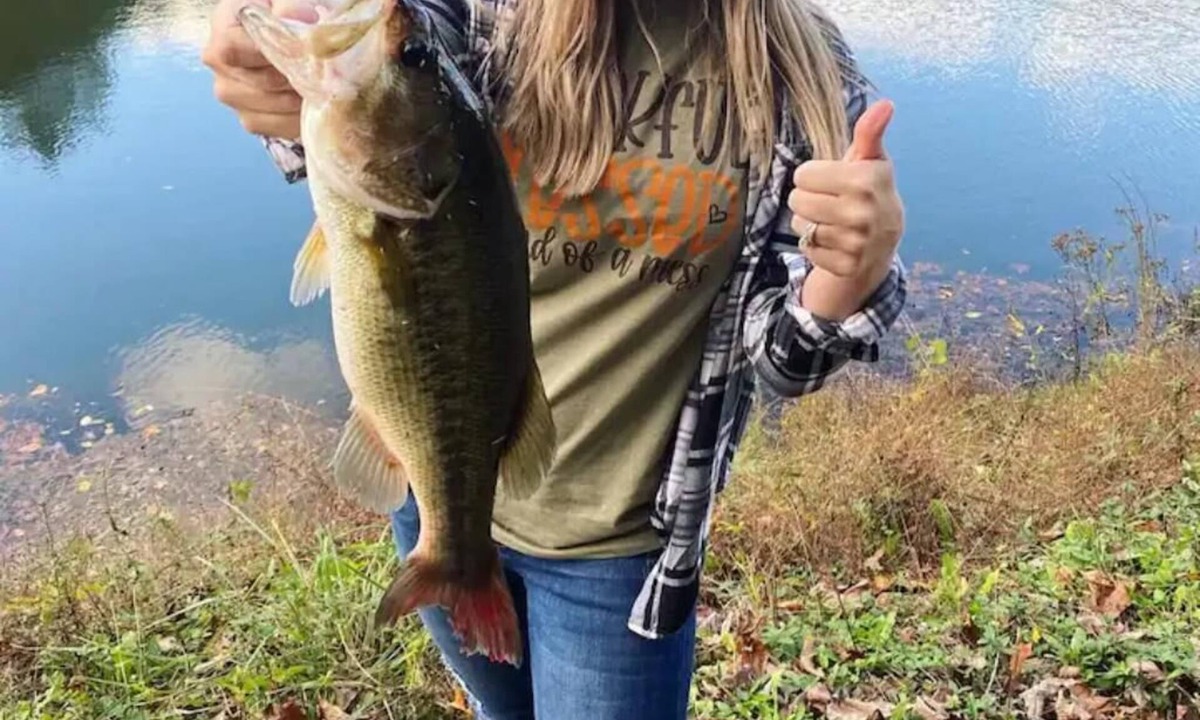 Albertville House | Bass Cabin: Arcade, Inflatables, Fishing & More!