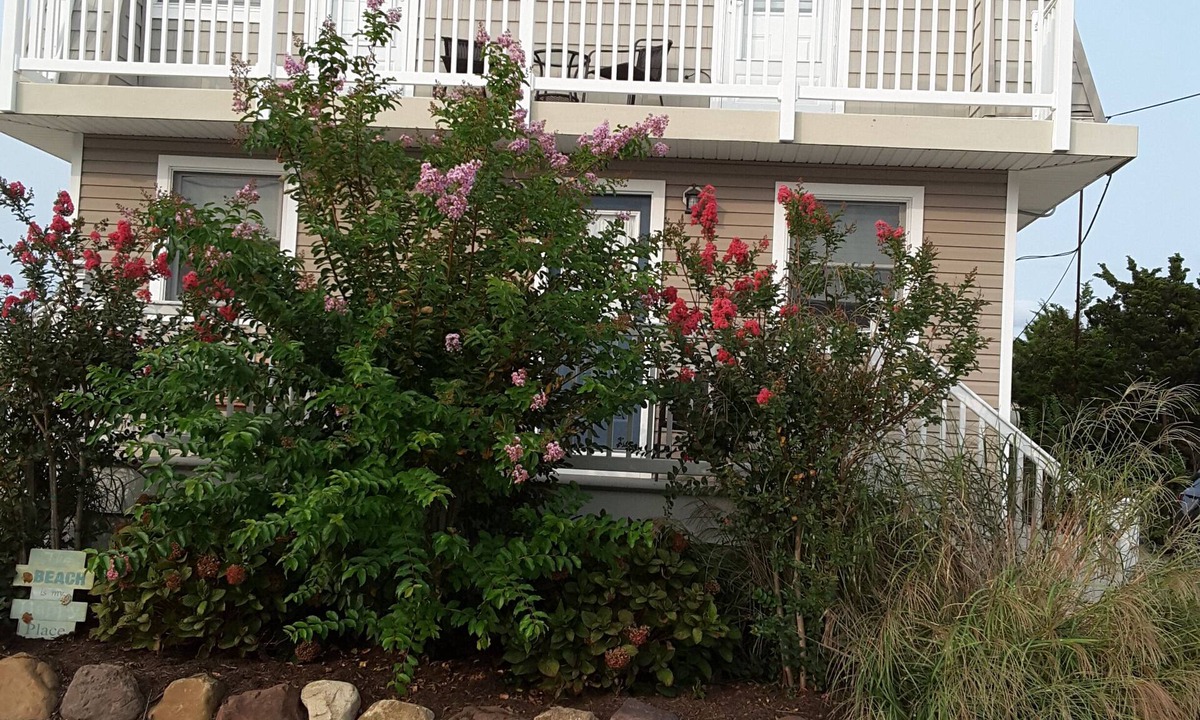 Ship Bottom House | Beautiful, spacious within blocks to both beach and bay.