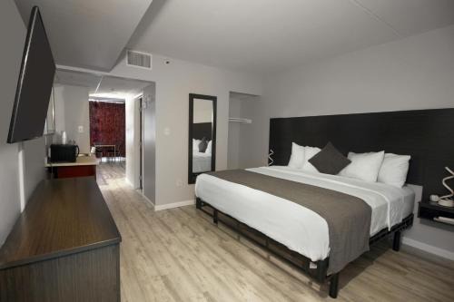 Wildwood Resort | Bolero Resort