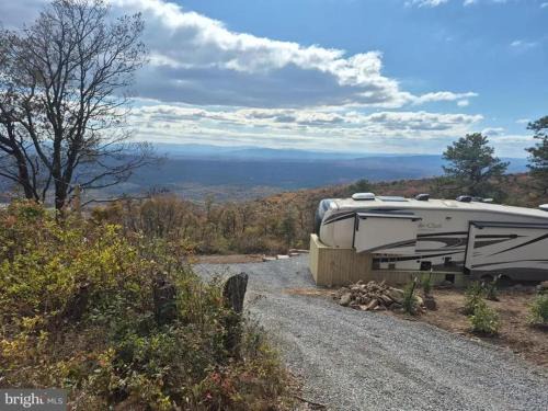 Winchester Other | Buena Vista