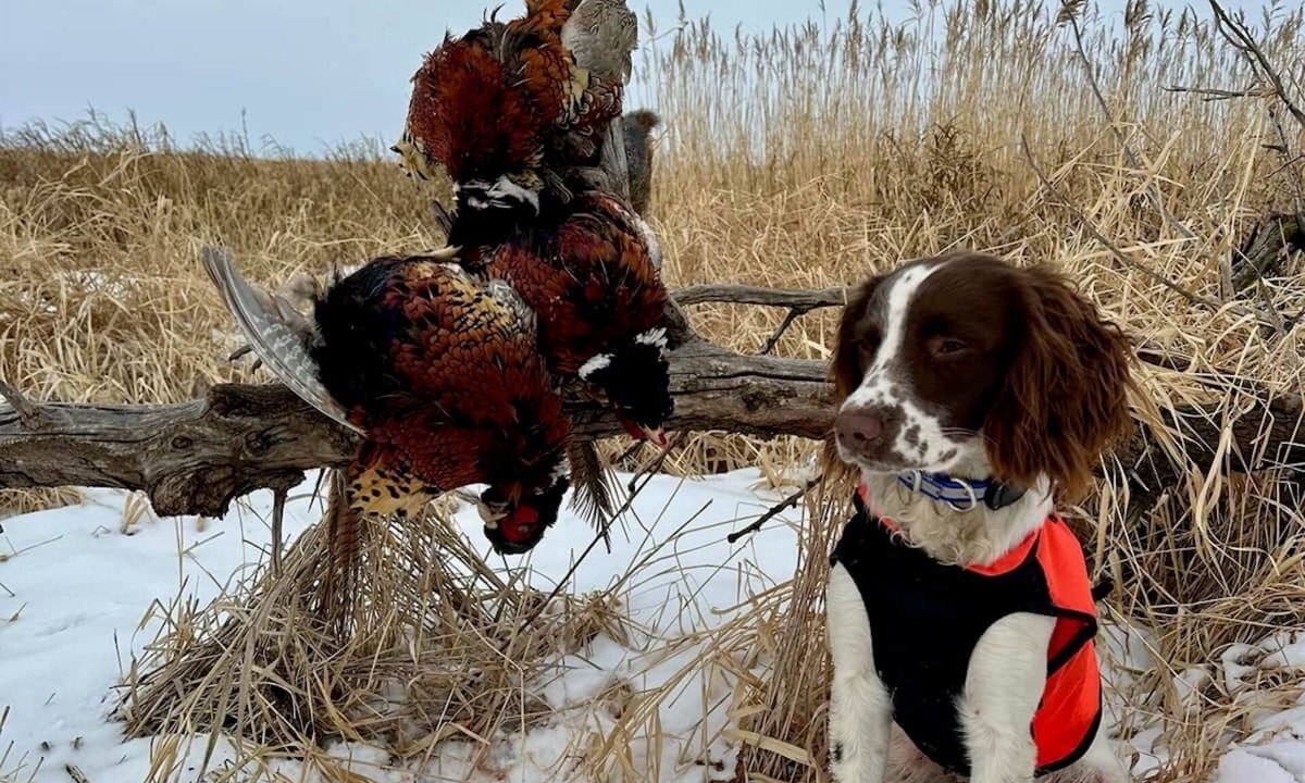 Spink County House | Calvert Creek Hunting Lodge
