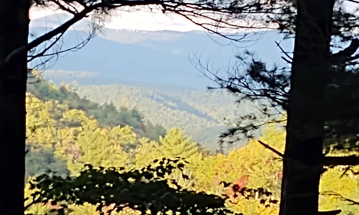 Newland Cabin | Cozy cabin nestled in 7 acres in the Pisgah Forest with trails