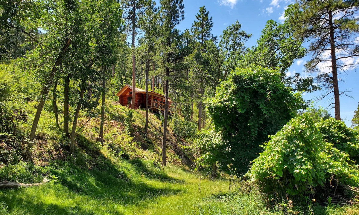 Spearfish Cabin | Cozy Cabin nestled on the side of our 21 acre mountain - 10 min to Spearfish!