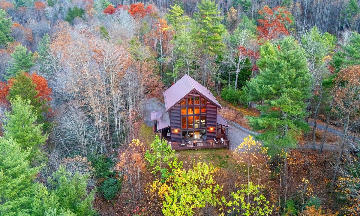 Butler Cabin | Cozy mountain adventure for all-family, friends and furry pups!