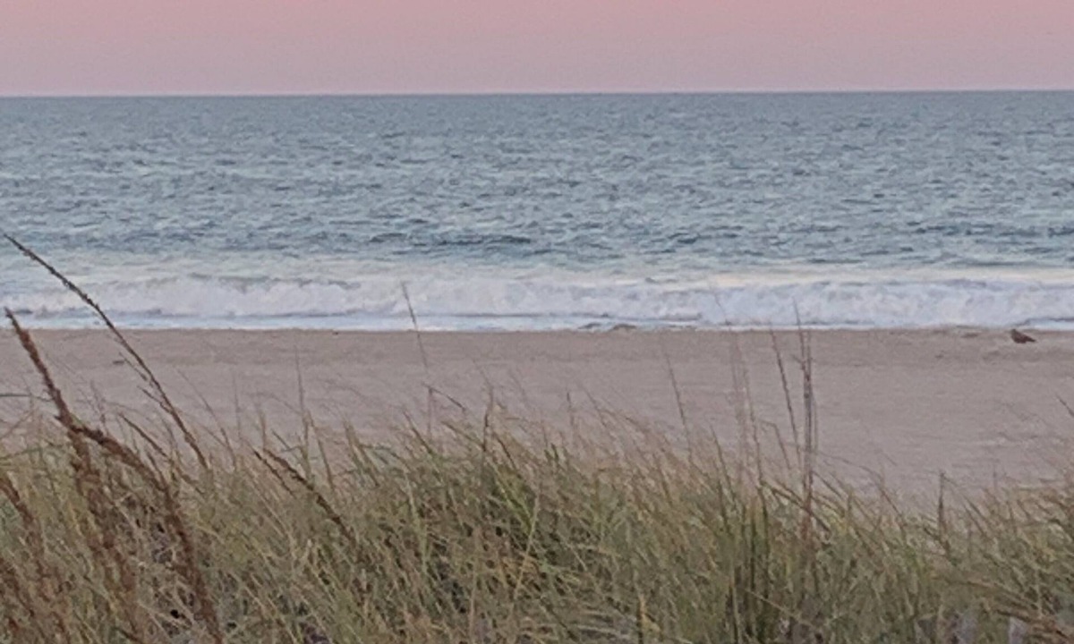 Ortley Beach House | Family friendly charming 3br 2 bath home in Seaside Heights, Pelican Island
