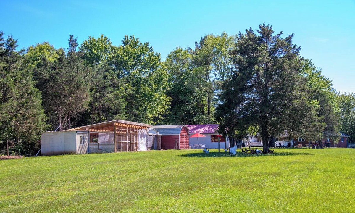Bealeton Other | Farmhouse Retreat in the Country w/Fresh Egg, Sheep and large Firepit