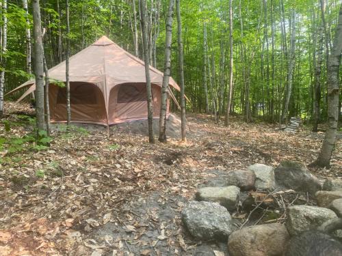 Lovell Other | Forest Yurt