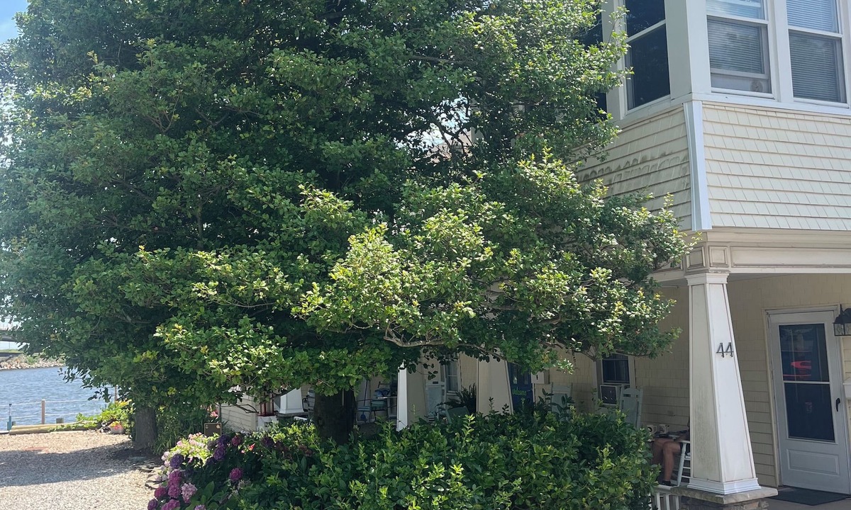 Highlands Cottage | Ground floor water side 1-bedroom cottage. Rocking chair front porch. No stairs