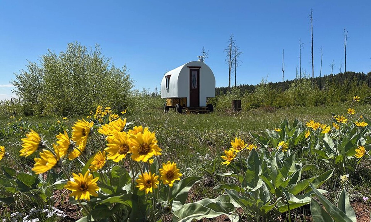 Casper Mountain House | Hand-Crafted Sheep Wagon ~ Luxuriously Rustic ~ Private Meadow Site