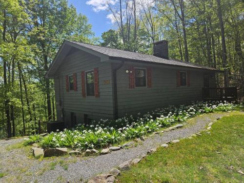 Deep Gap House | Hawk Ridge Haven - Powder Horn Mountain