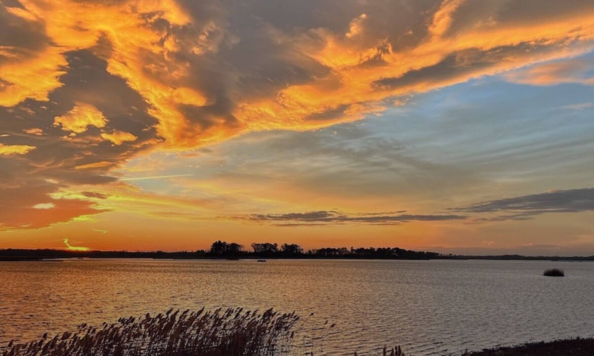 Prime Hook Beach Cottage | Heron’s Haven- a dog friendly beach oasis