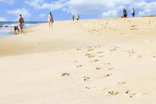 Dewey Beach Hotel | Hyatt Place Dewey Beach