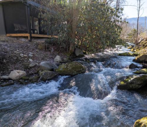 Cosby House | Joyful Cottage, Pickleball Court, Creek, WIFI, Mountain Views, Starting at 69"