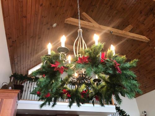 Dawsonville Ski Chalet | Lake views galore from balconies right on the lake and drought-proof deep water