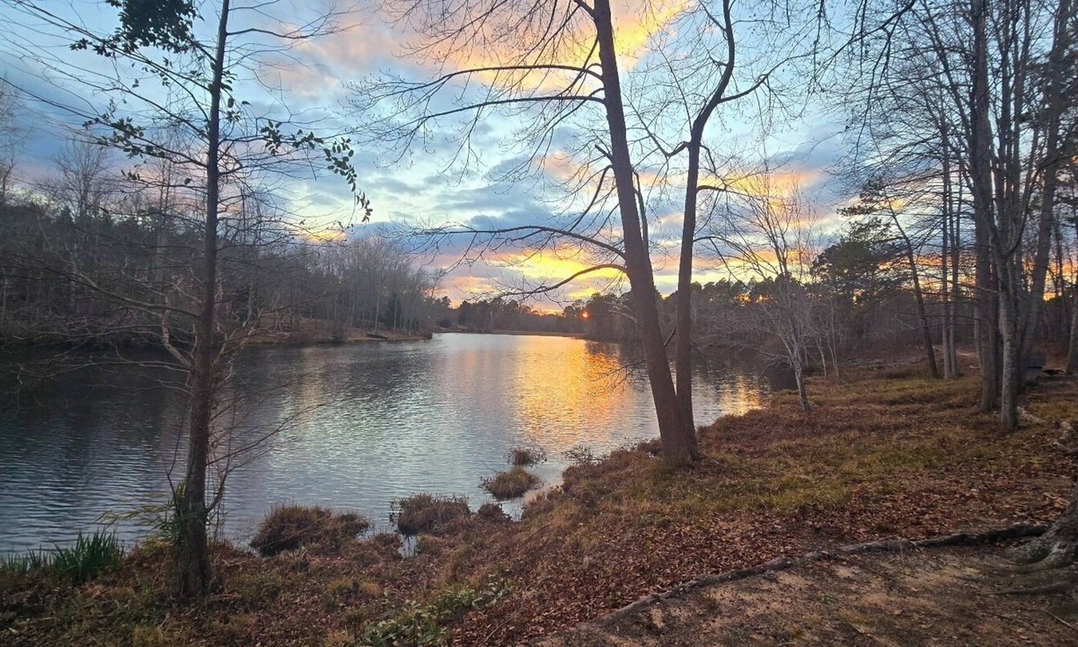 Aiken Cottage | Lakeside Retreat - Tranquil Escape Minutes from Aiken, Augusta & Stable View.