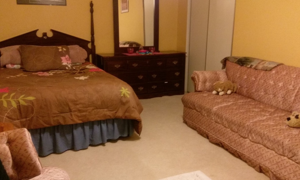 Montgomery Village House | Large Furnished Basement Room