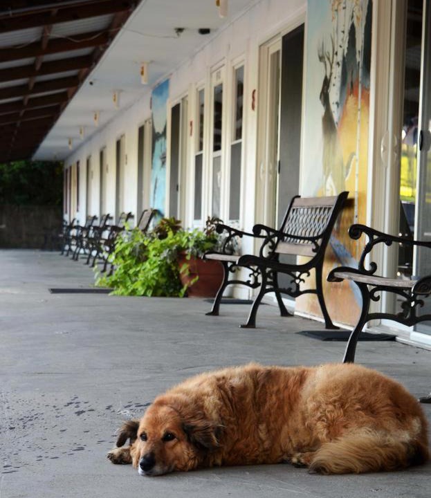 Leon Hotel | Little River Inn Motel