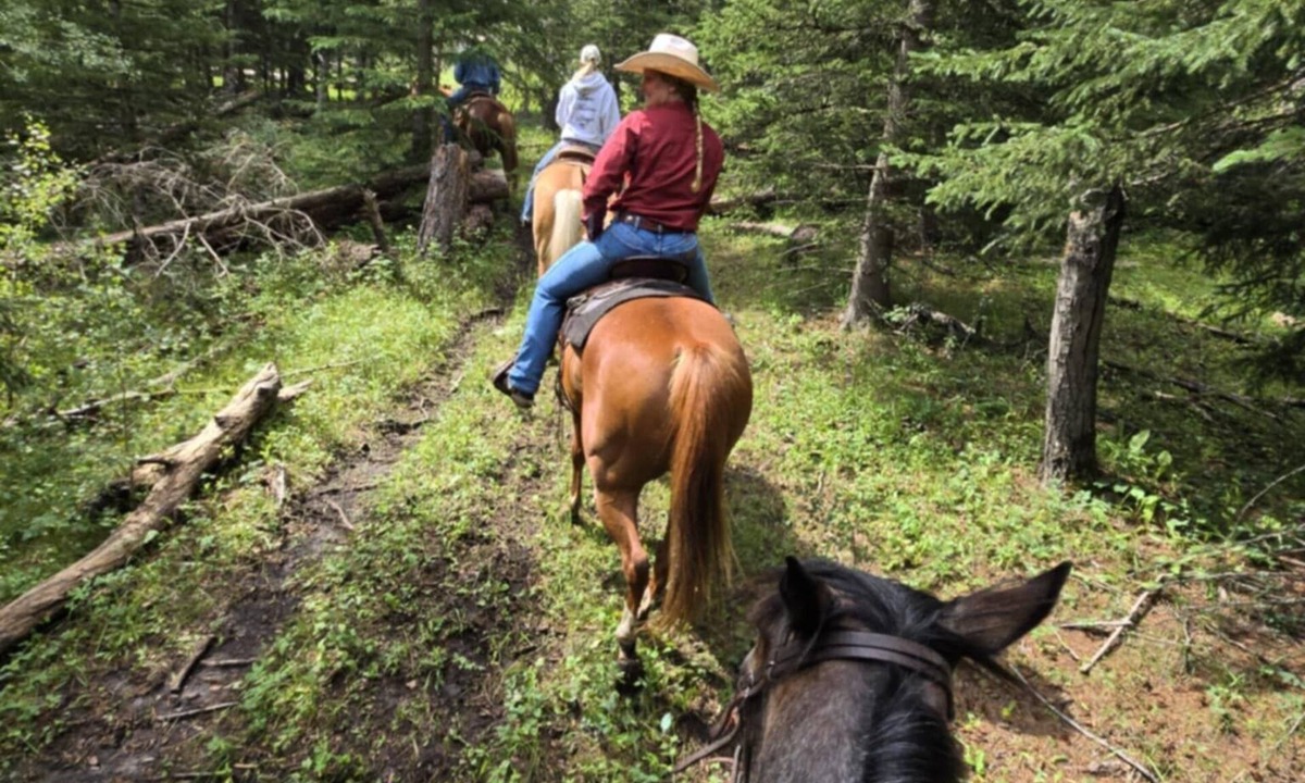 Hill City Cabin | Located right in the middle of The Black Hills