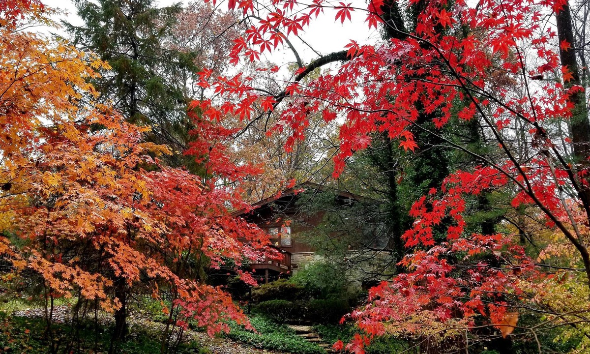 Glen Arm House | NATURE LOVERS WOODLAND RETREAT - TOWSON MD