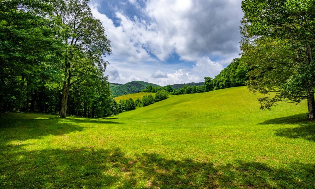 Boone House | Our Mountain Getaway Very Private Pet Friendly