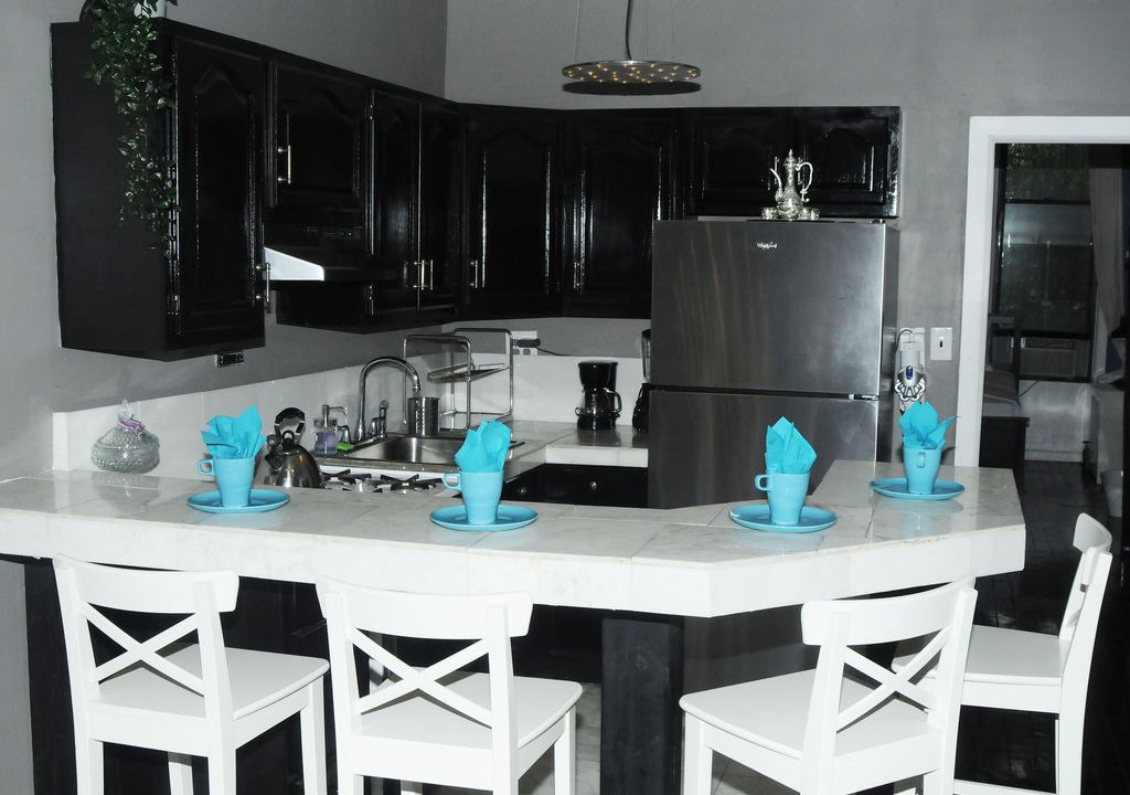 Bedford-Stuyvesant House | Plush Spacious 1 bedroom apt Williamsburg
