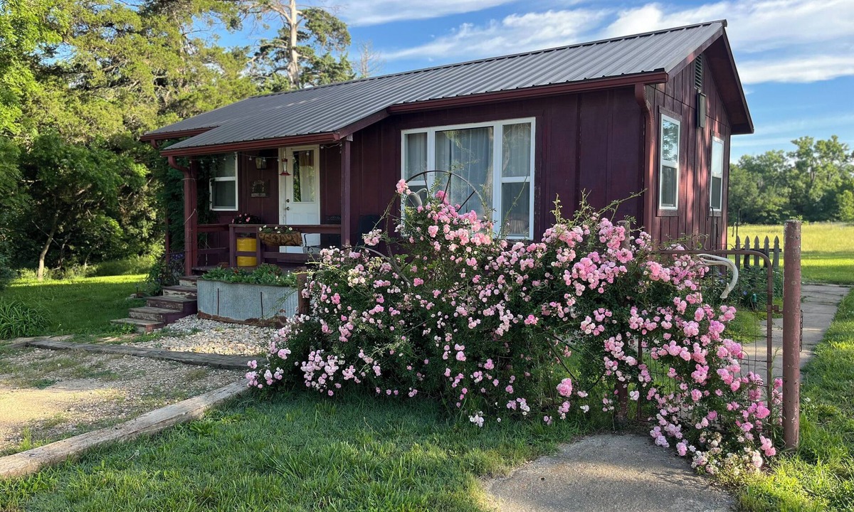 Lamont Cabin | Quiet & charming cabin with AC near Hamilton