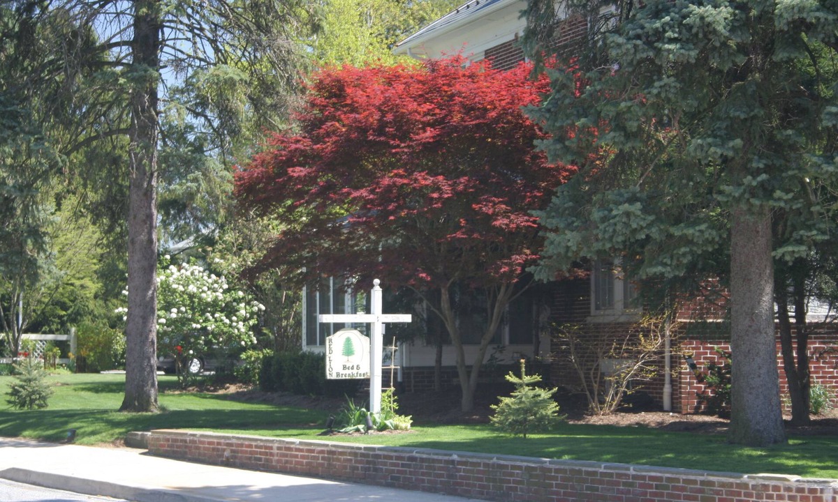 Red Lion Bed & Breakfast | Red Lion Bed & Breakfast