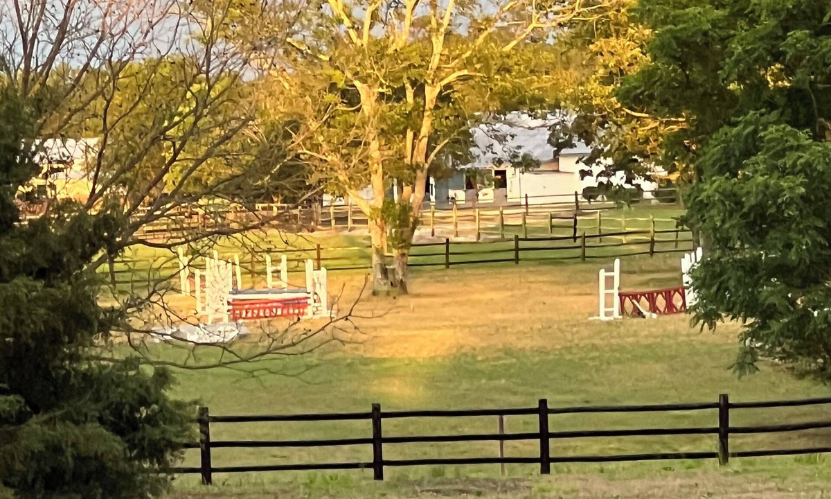Lemon Springs House | Relaxing, peaceful, and lush horse farm. Quiet, 30 acres, & close to everything!