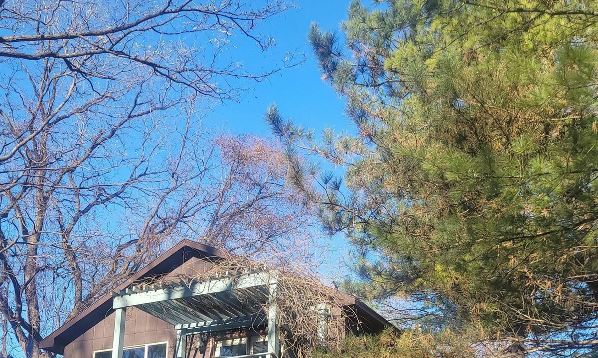 Savanna Cabin | River Rail Retreats Deluxe Cabin with whirlpool jacuzzi at Palisades