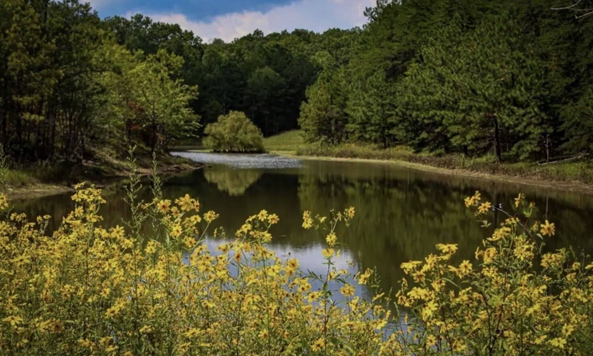 Mentone Cabin | Secluded Cabin on 3 acres l Porch, Fishing, Wildlife, Pond + Kayak