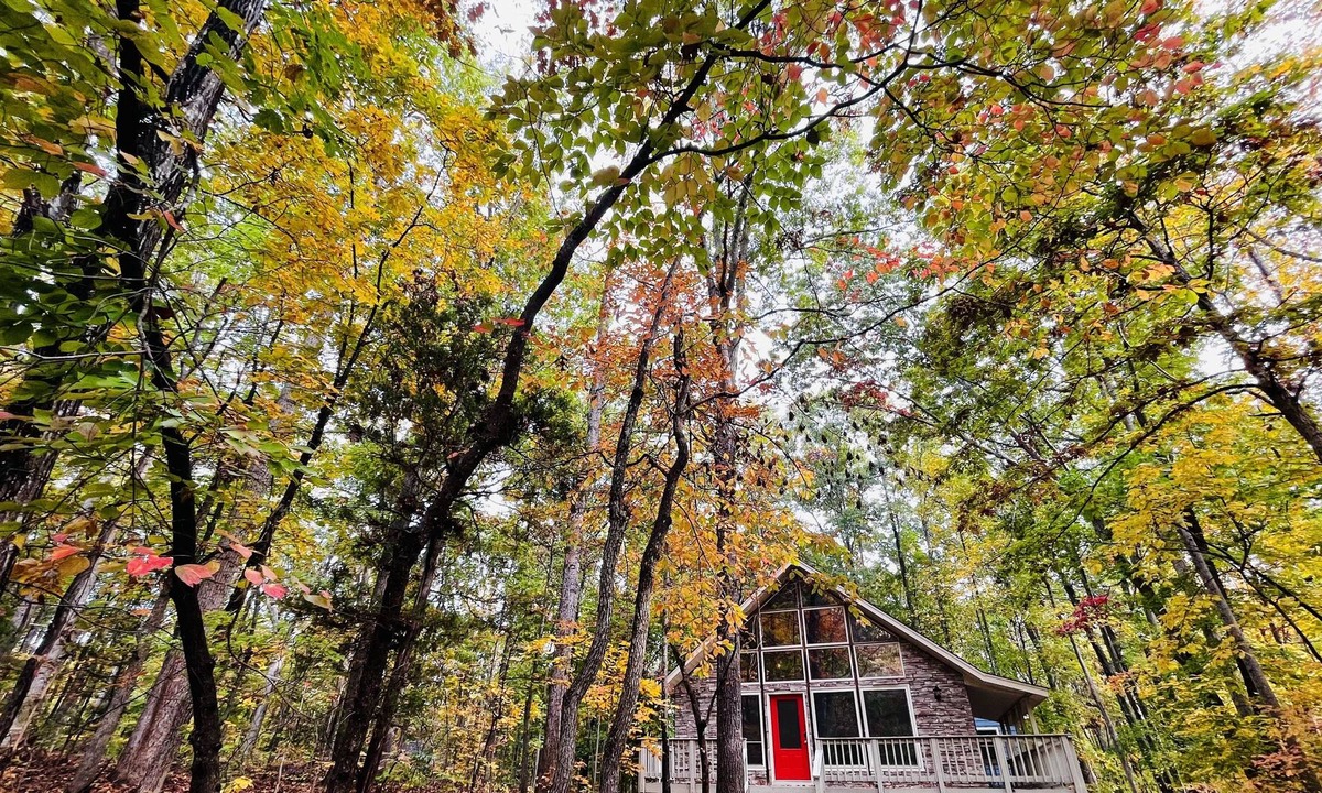 Lake of the Woods Cabin | The A-frame near the lake