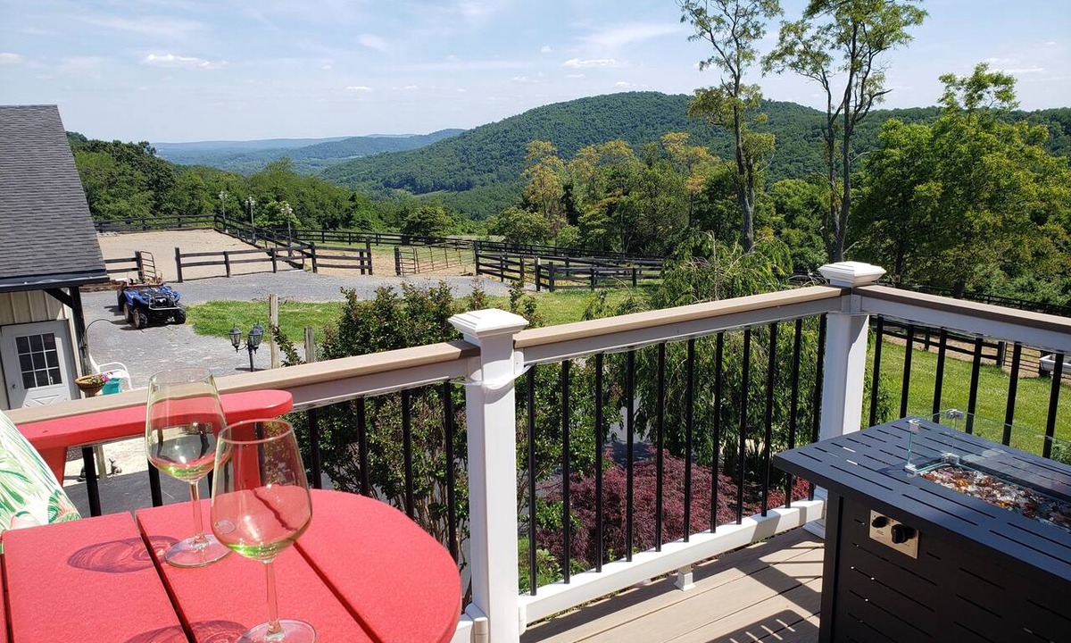 Rippon Apartment | "The Love Nest" - Stunning Views overlooking the Shenandoah in Wine Country