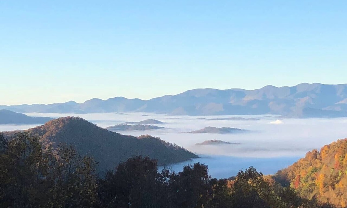 Franklin Cabin | Tree Tops - Long Range Views