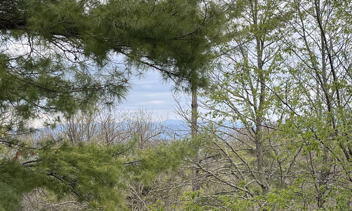 Beech Mountain Condo | Updated condo, Walk to Beech Mountain Resort, Beautiful sunrise, Pet friendly