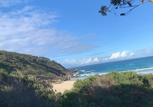 Immaculate designer house-sweeping views over iconic Blueys Beach 3min walk away in Blueys Beach