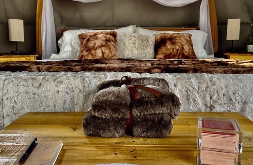 Hermosa Resort | 2-person Glamping Dome with Huge bay window and private bathroom!