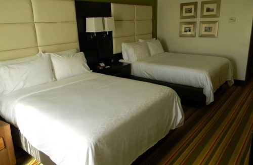 Madison Hotel | 3 Stylish Units for Business Travel, Breakfast, Park
