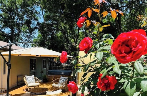 Round Rock House | 3BR/GardenOasis/Fireplace/SoakingTub