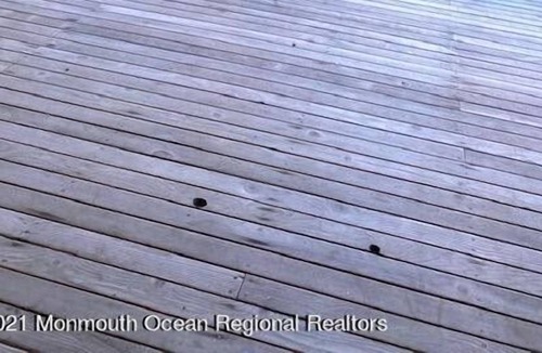 West Long Branch Apartment | 5 Bedroom Single family 139604 by Houzlet