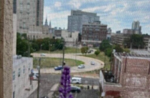 Logan Square Apartment | 502 Luxury 1BR apartment in center city
