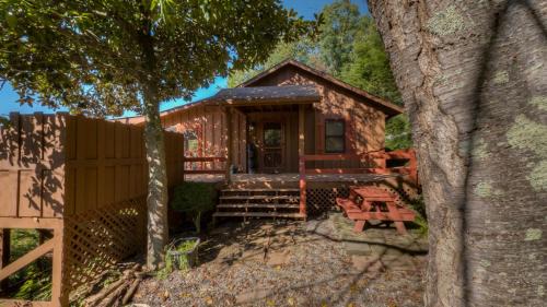 Morganton House | A Beary Nice View- Pet Friendly | Screened Porch | My Mountain | No steps to enter
