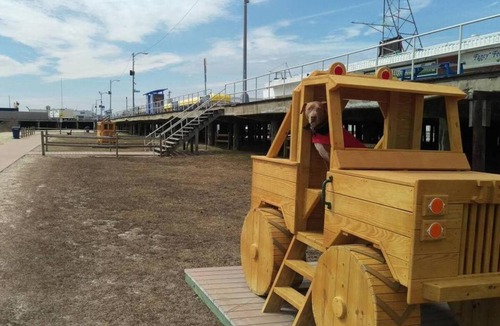 North Wildwood Apartment | Adventure Doggie's WildWoof Beach Bungalow - 3 Blocks to Beach