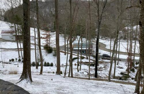 Sugar Grove House | Airstream at a Petting Zoo w/Hot Tub
