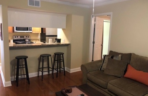 Auburn Condo | Auburn Al Game Day Condo <1 block to Toomer's Corner WAR EAGLE!