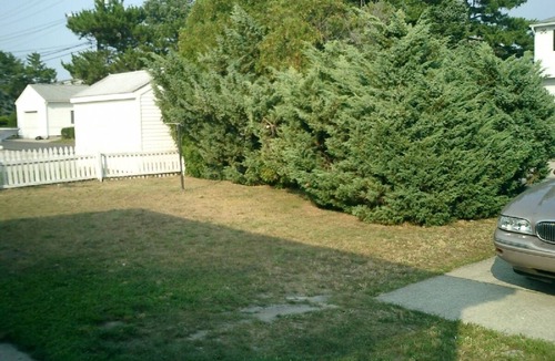 South End House | Beautiful 3BR 1.5 BA SINGLE HOME!