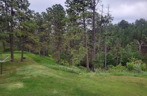 Colonial Pine Hills Cabin | Beautiful & Comfy CABIN Retreat with abundant wildlife, WIFI and AC