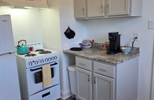 Downtown Apartment | Beautifully Renovated 1 Bed, 1 Bath, Pet-Friendly Apt, 2 Blks From State Capitol